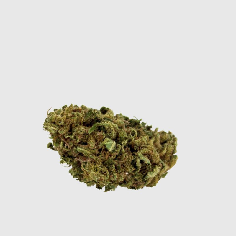CANNABIS-LIGHT-BUBBLEGUM-2G-TÊTE